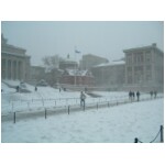 Snow in Columbia 02.jpg